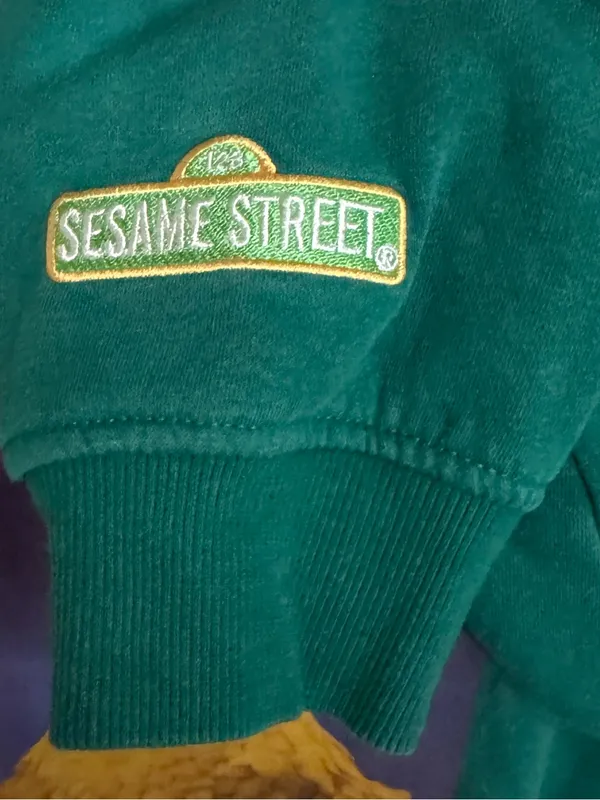 H&M Sesame Street Big Bird Graphic Sweatshirt Green Oversized Large - Image 5