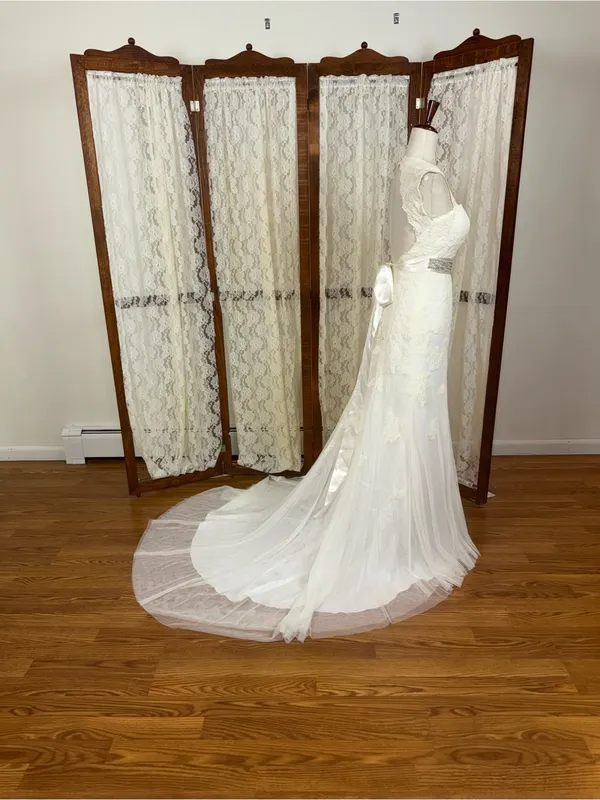 Gorgeous David’s Bridal Queen Anne Lace Overlay Wedding Gown - Image 5