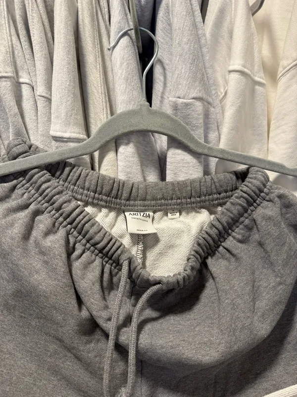 Aritzia Shorts - Image 4