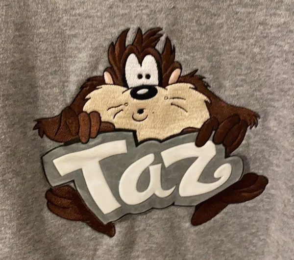 FINAL PRICE Vintage Warner Bros Taz Sweatshirt - Image 3