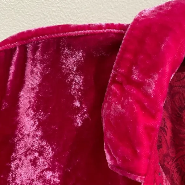 Pilcro Mara‎ Pink Velvet Button Front Pants Petite 2 Boho Wide Leg Anthropologie - Image 4