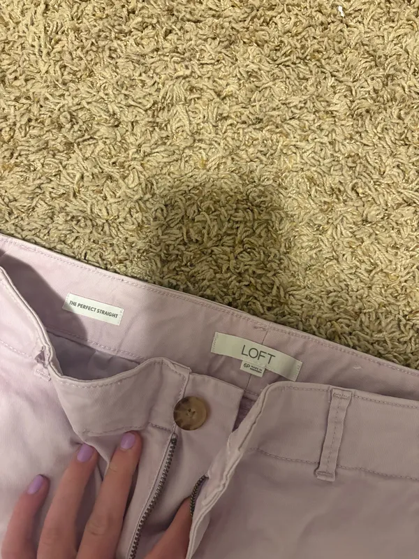 Loft Dress Pants - Image 2