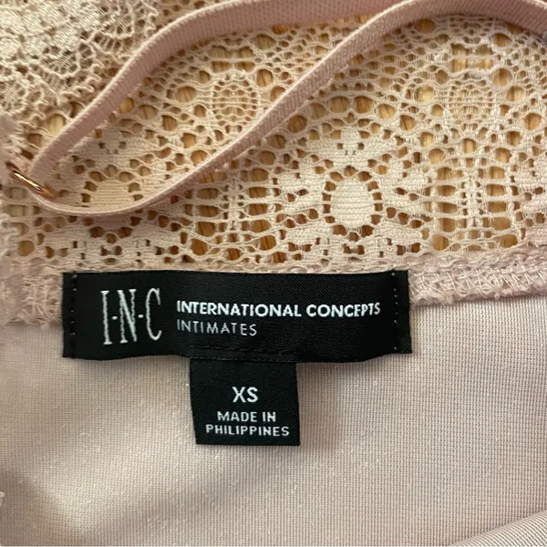 INC International Concepts Slip Dress Women XS Pink Lace Eyelet Velour Coquette - Image 2