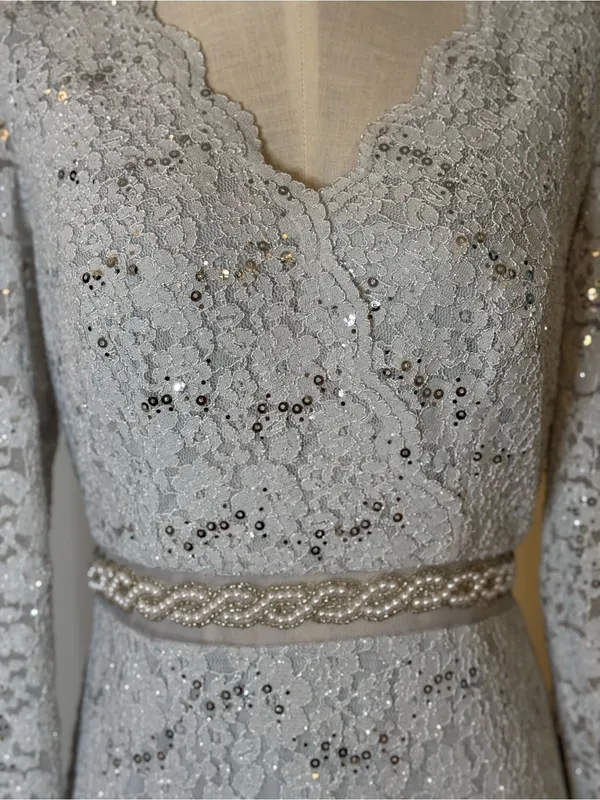Alex Evenings Silver Grey Lace Long-Sleeve Evening Gown Sz 4 - Image 4