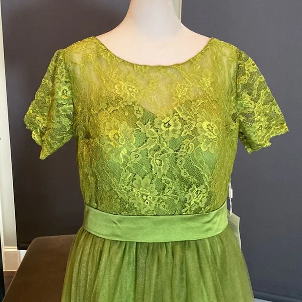 Women’s Full Length Tulle & Lace Sort Sleeve Dress with Zip Up Back Size 12 NWT - Image 2