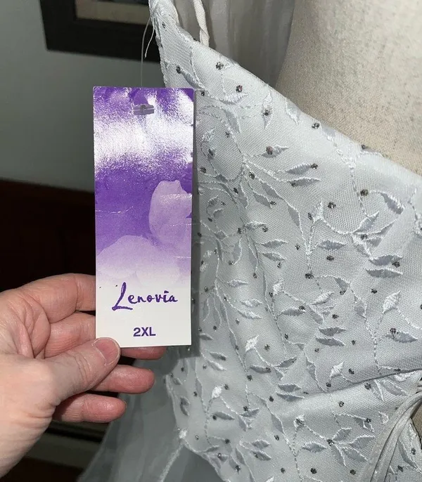 Pretty New Lenovia Organza Prom/Quinceanera/Wedding Gown! - Image 6
