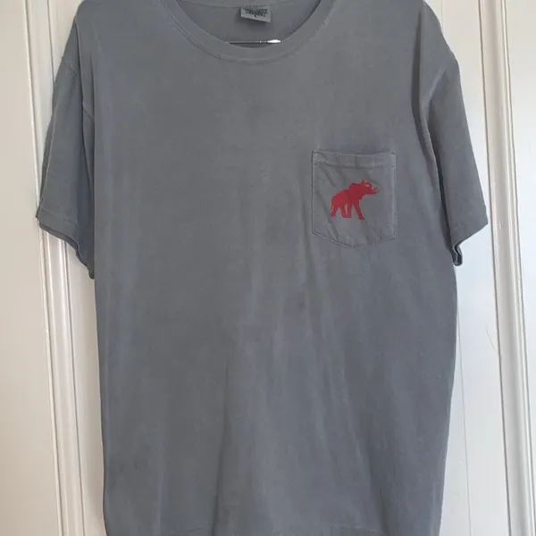 Comfort Colors large Alabama t-shirt - Image 3
