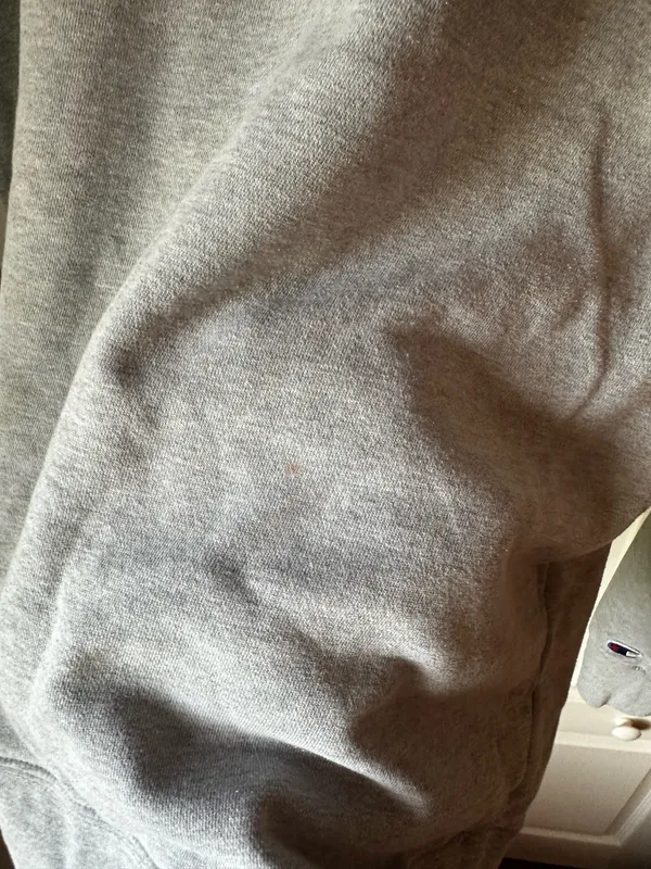 Champion Grey Sweatshirt Crewneck - Image 5