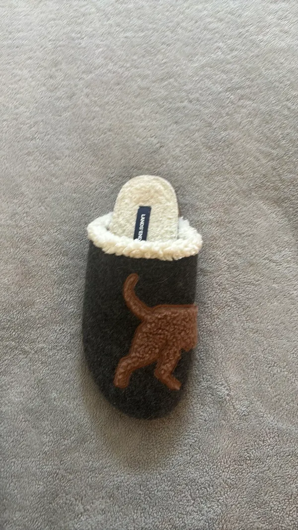 Lands' End Slippers - Image 4