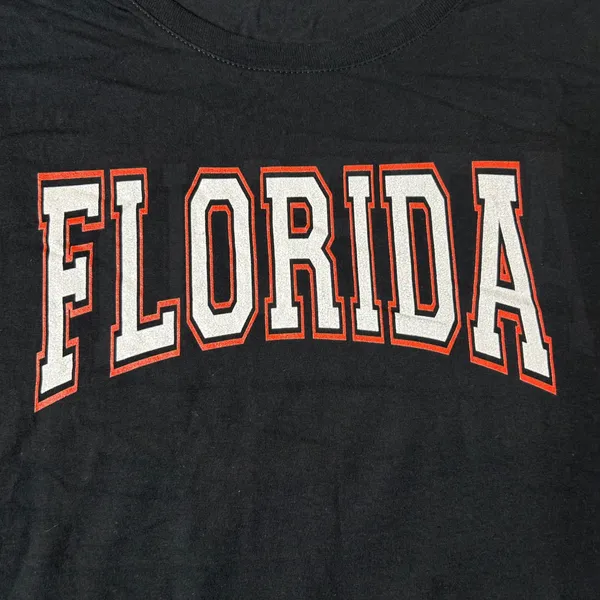 NEW Gildan Florida Graphic T-Shirt Crew Neck Short Sleeve Black‎ Large - Image 3