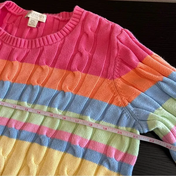 Appleseeds Women’s Striped‎ Pastel Rainbow Sweater Cable Knit Chunky PXL - Image 9