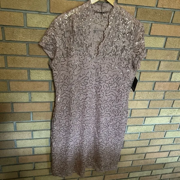 NWT Marina Lace Cap Sleeve Scalloped V-Neck Sheath Dress Blush Pink Size XL - Image 2
