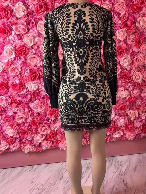 Bold Free People Ornate Knit Long Sleeve Dress(XS) - Image 2