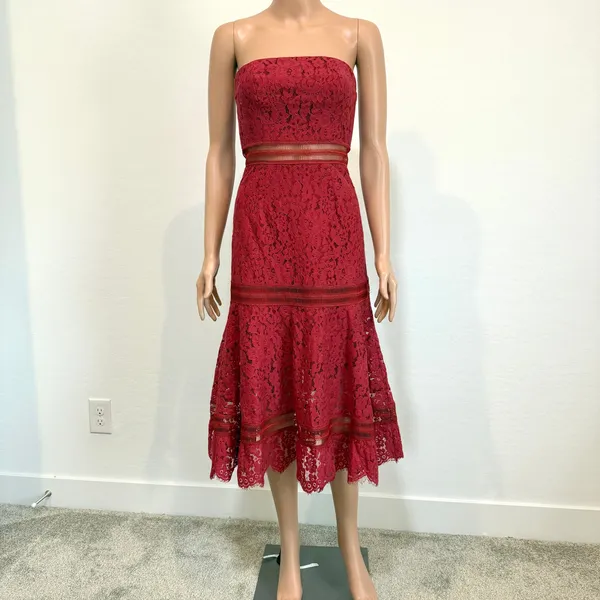 Keepsake XS Butterfly Lace strapless sheer lined midi dress D1 2690 - Image 10