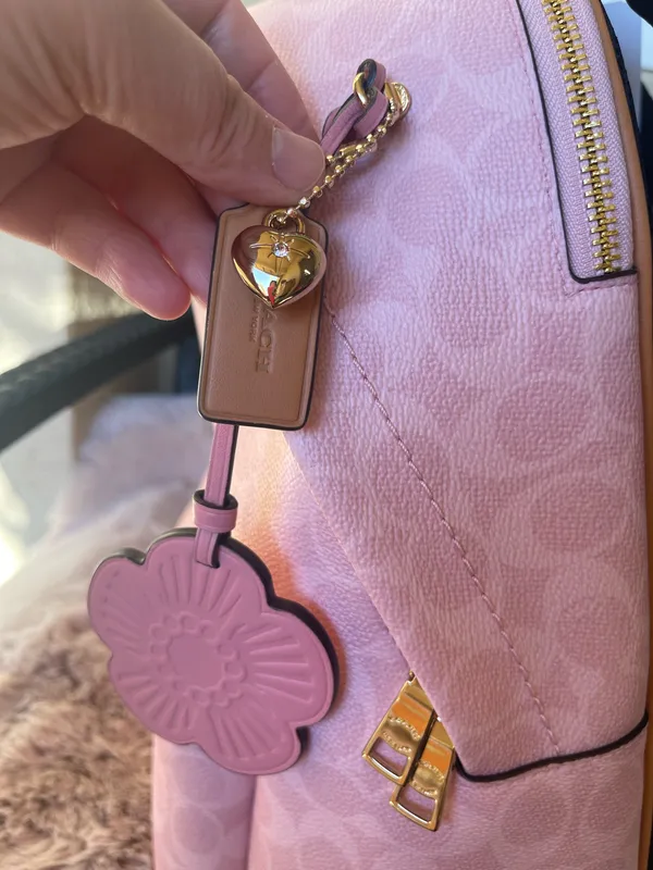 Coach Powder Pink Taylor Small Backpack In Signature Canvas With Charms NWT - Image 5