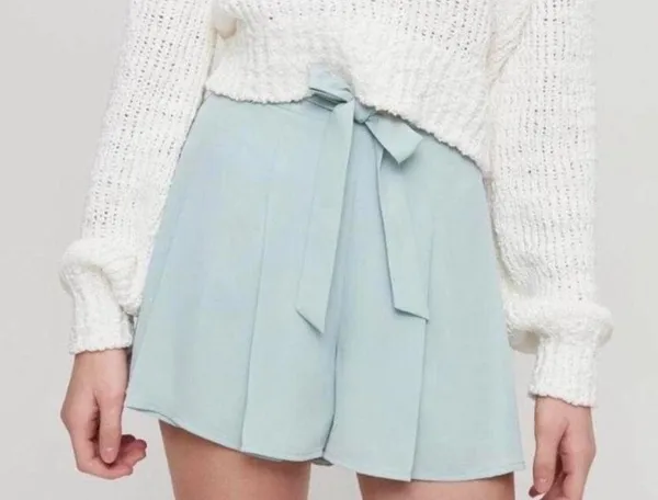 Aritzia Blue Shorts with Belt - Image 2