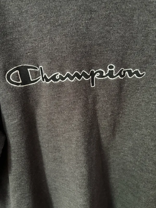Champion Grey Striped Hoodie - Image 2