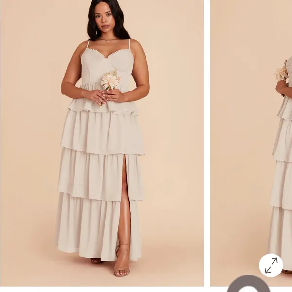 Birdy Grey Lola Dress Chiffon Classic Champagne size L - Image 5
