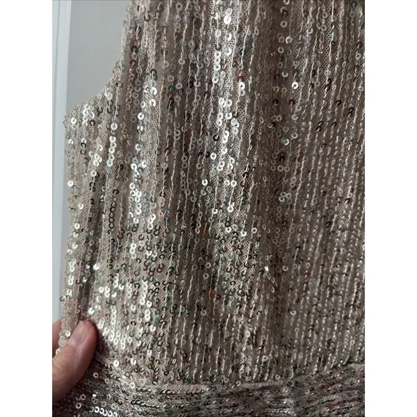 Draper James Silver Sequin Dress Size 10 Sleeveless New without Tags - Image 3