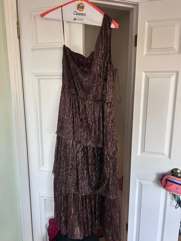 Francesca's Dress - Image 2