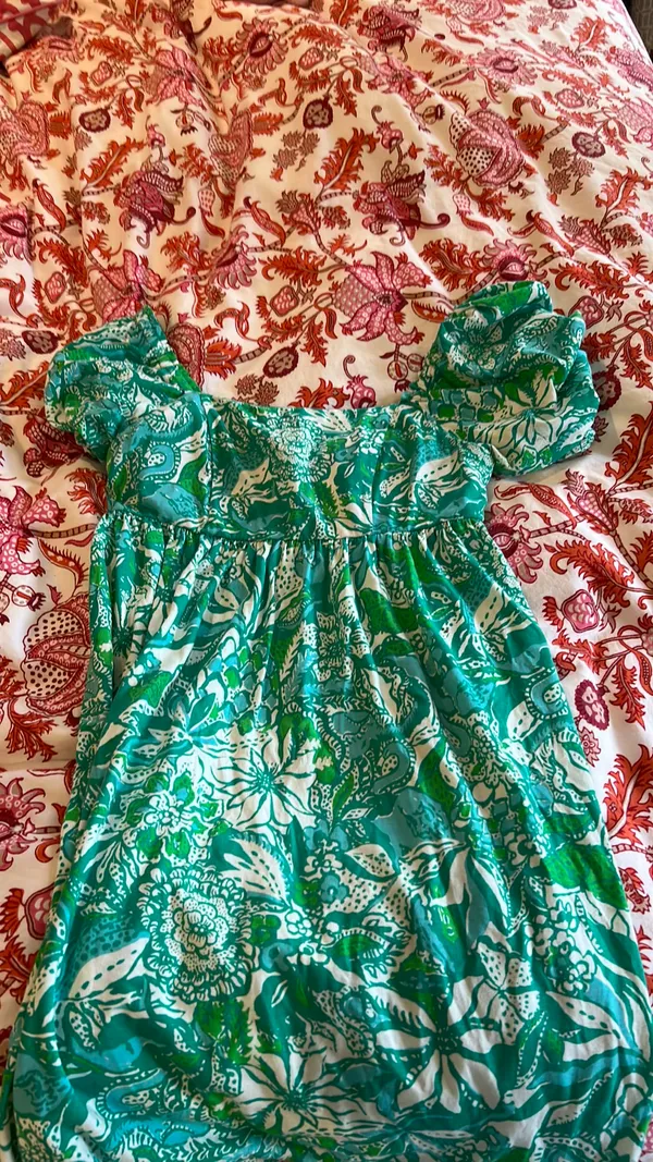 Lily Pulitzer Lilly Dress - Image 6