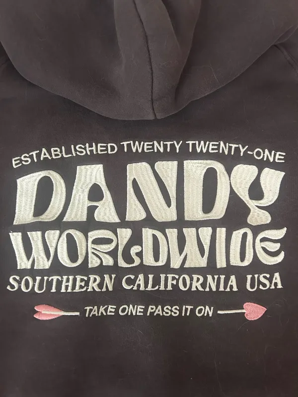 Dandy Worldwide Hoodie - Image 3