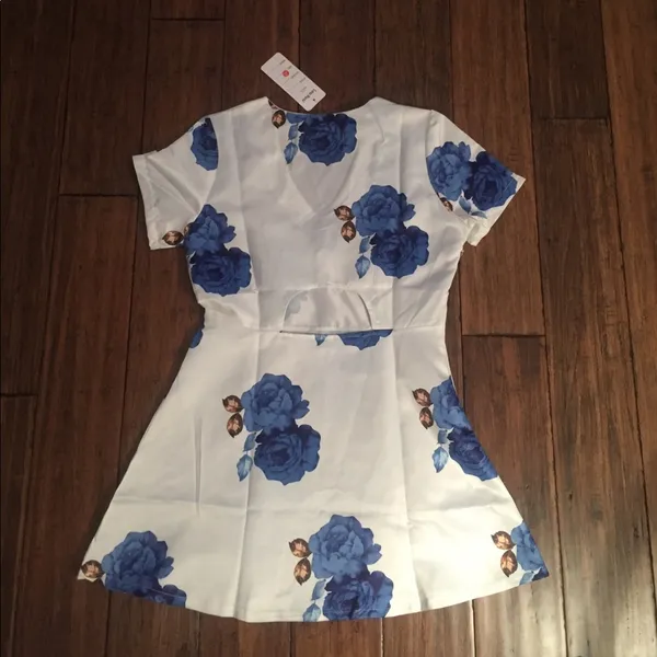 Blue White Rose Floral Cut Out Back Skater Fit Flare V Neck Mini Dress Sz S BWT - Image 4