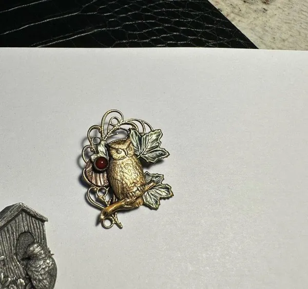 Lot of 2 Bird House And An Owl Brooch Pins 1 By Birds & Blooms 1997 - Image 9