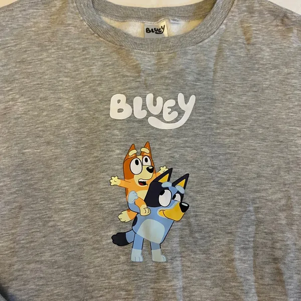 Target Women's Bluey Graphic Crewneck Sweatshirt Grey XXL 2XL Character NWOT - Image 2