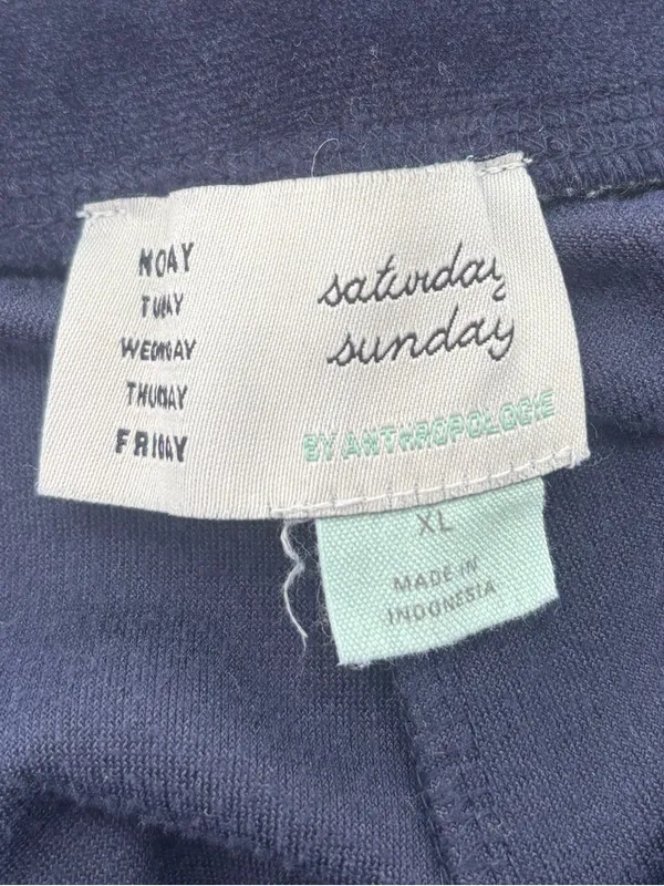 Anthropologie Saturday Sunday merida velour velvet jogger - Image 6