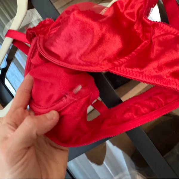 Vintage Dior silk lace bra wiring sheer mesh floral red sexy claspfront lingerie - Image 7