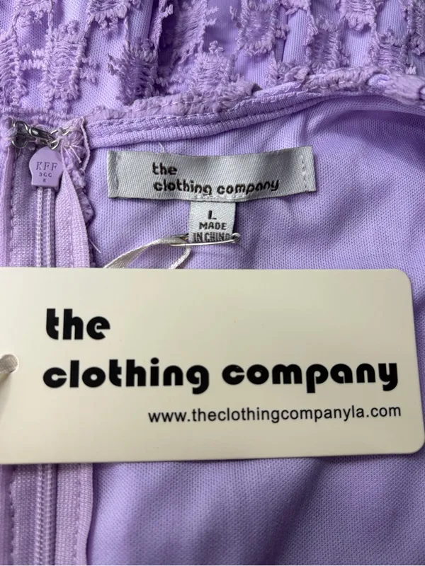 The clothing company purple v-neck lace bohemian maxi dress size large NWT - Image 3