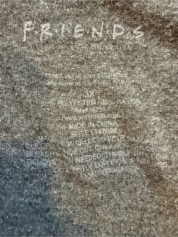 FRIENDS Graphic Tee in Charcoal with Rainbow Stripes and characters 1X - Image 2