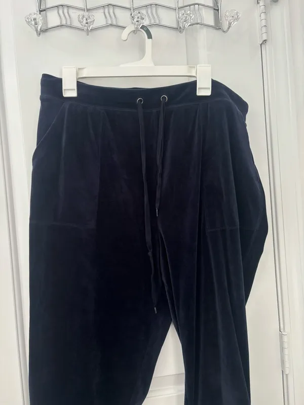 Anthropologie Saturday Sunday merida velour velvet jogger - Image 4