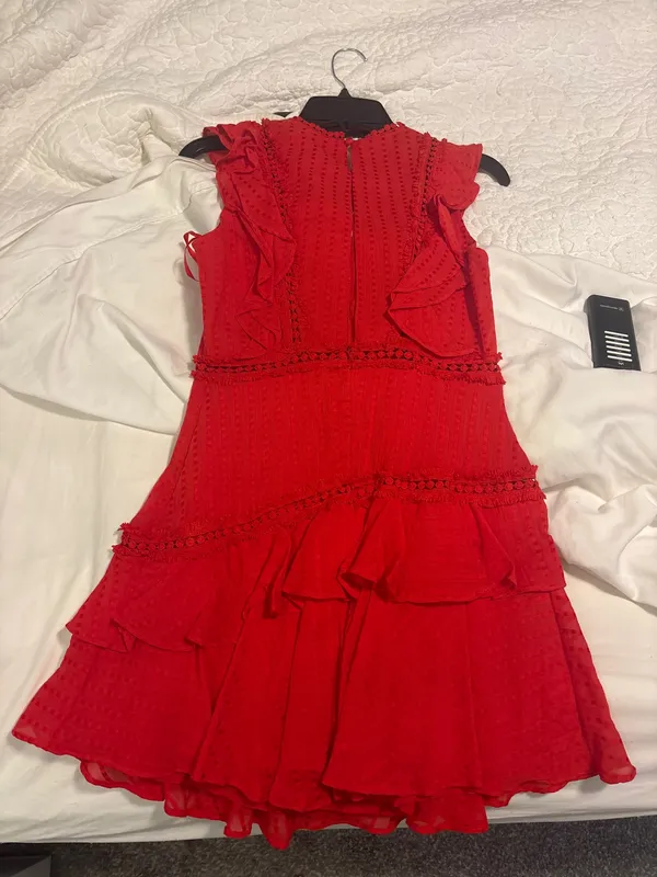 Red Selfie Leslie Ruffle Dress - Image 2