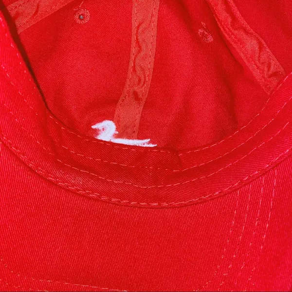 Southern marsh hat - Image 5