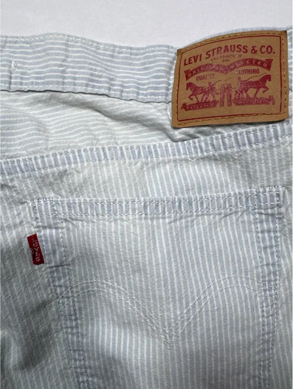 Levi’s Light Blue Pinstripe Boyfriend Jeans Size 30 - Comfy - Image 10