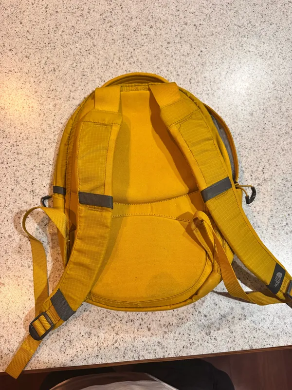 North Face Mini The Backpack - Image 3