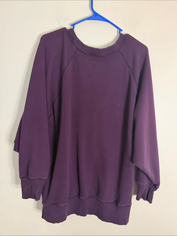 aerie Relaxed Crewneck Sweatshirt in Plum - Image 5