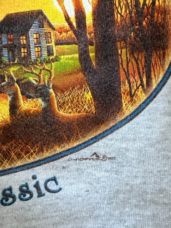 Vintage Roanoke Virginia crew neck Gray Size XL - Image 3
