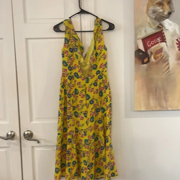 GORGEOUS Saloni Holly Midi Dress 100% silk EUC US4 🥰 - Image 4