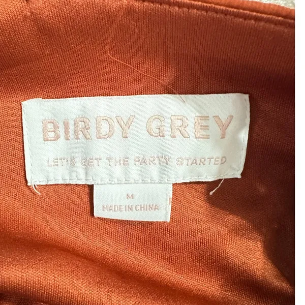 Birdy Grey Maxi Dress Women's Medium Rust Orange Tie Back Halter Sleeveless - Image 5
