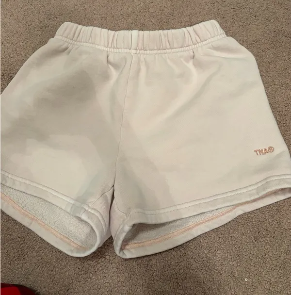 TNA Aritzia Shorts - Image 2