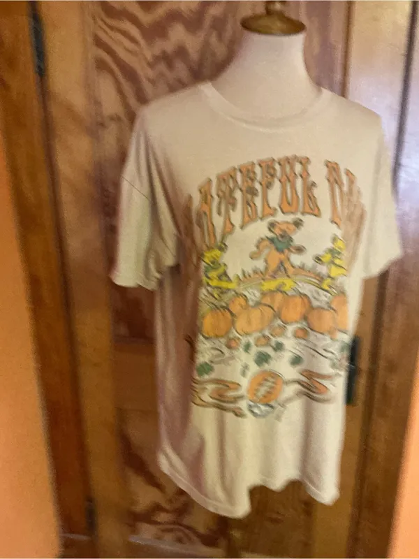 American Eagle Grateful Dead Pumpkin Patch Bears Graphic Band Tee XS Oversized - Image 4