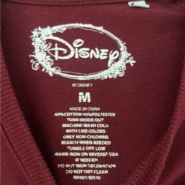 Disney Hakuna Matata Maroon Sweatshirt - Image 3
