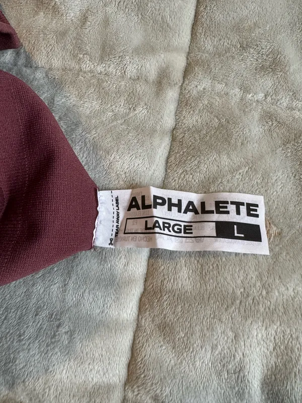 Alphalete Shorts - Image 2