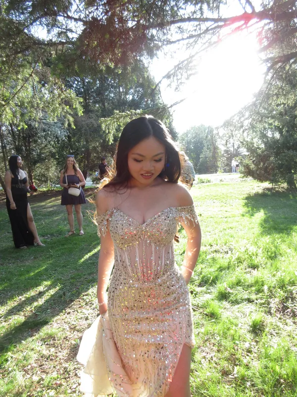 Ladivine CD203 Gold Prom Dress - Image 2