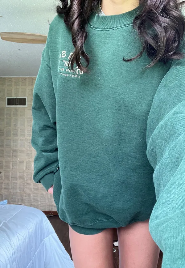 Fruit of the Loom Vintage Spring storm Green crewneck - Image 4