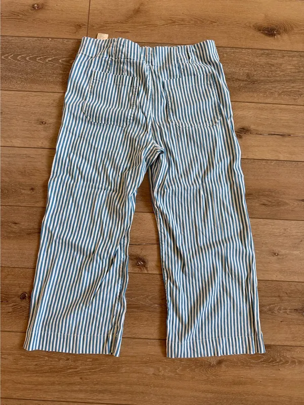 Anthropologie Colette Crop Pants Blue Stripe - Image 3