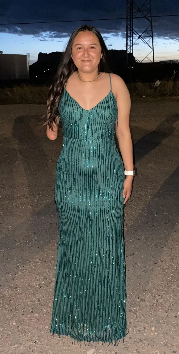 Prom Dress - Image 6